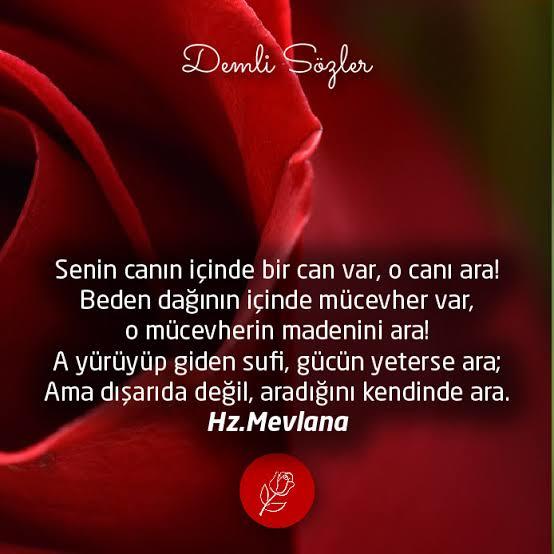Sözlerin canı vardır. Sizi canınızdan vuran ve etkileyen sözler nedir?