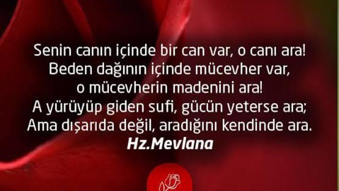 Sözlerin canı vardır. Sizi canınızdan vuran ve etkileyen sözler nedir?