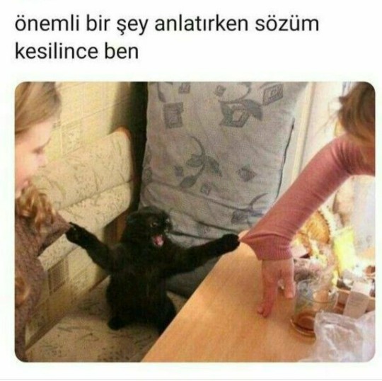 Sözünüzün kesilmesinden rahatsız olur musunuz?