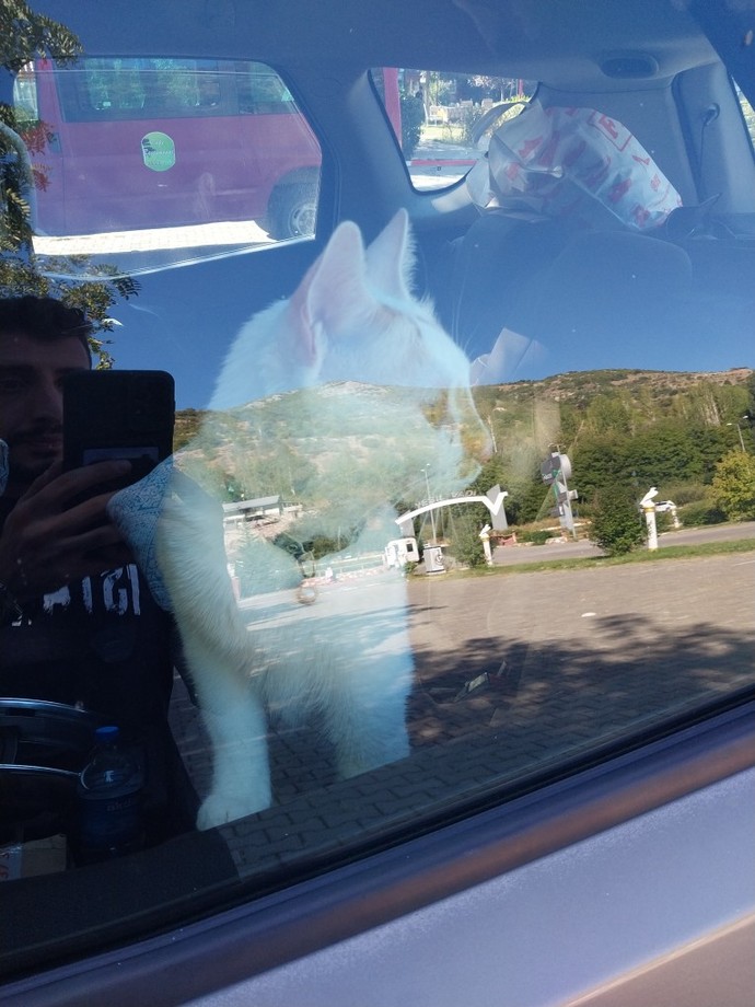Yolunuzu gözleyen var mı?