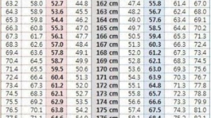 Kore standartlarına göre zayıf mısın kilolu mu?