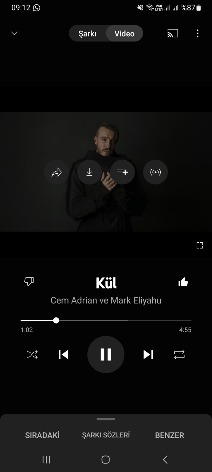 🎶