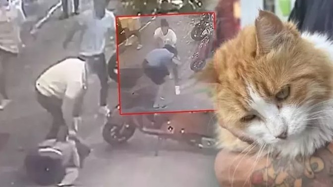 Kediye tekme attı, dayağı yedi! Hayvanlara zarar verenlere müdahale eder misiniz?