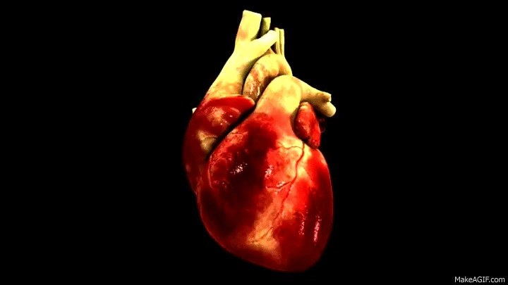 MY HEART IS YOURS