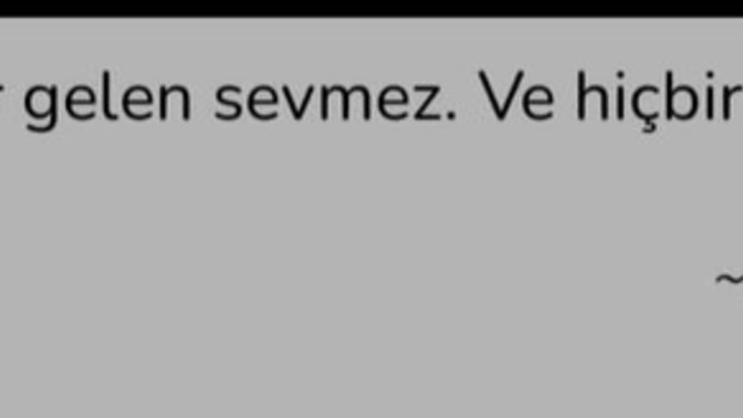 Her gelen sevmez ama her sevevn gitmez diye bir şey yok zarar gördüğün yerde dururmusun?