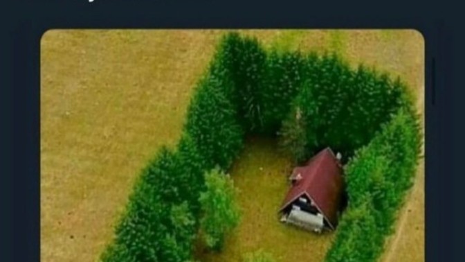Böyle bir evde yaşamak ister miydiniz🏡?