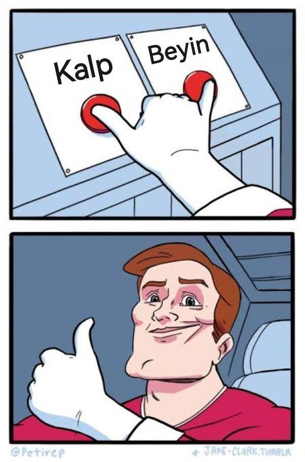 Reset atma imkanın olsa, kalbine mi atardın yoksa beynine mi?