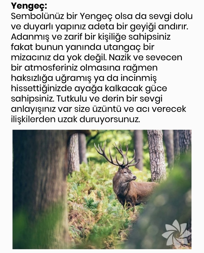 Burcun ve yükselen burcun hangi hayvanın özelliklerini yansıtıyor?