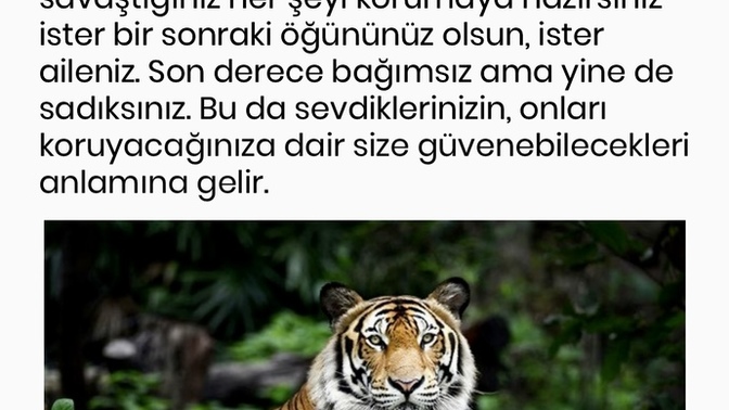 Burcun ve yükselen burcun hangi hayvanın özelliklerini yansıtıyor?