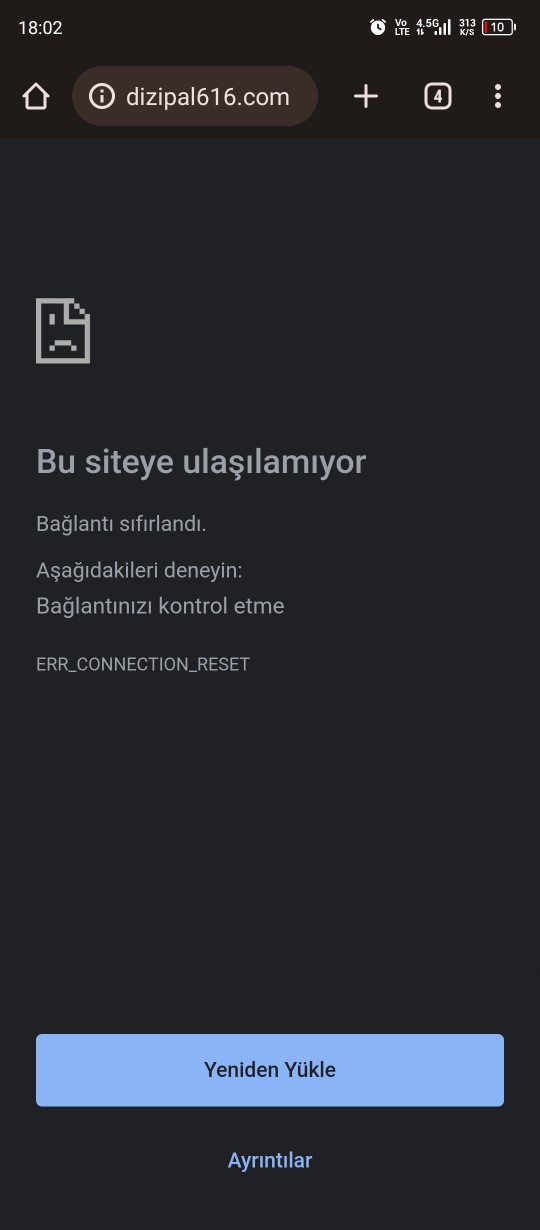 Dizipal giremiyorum neden?