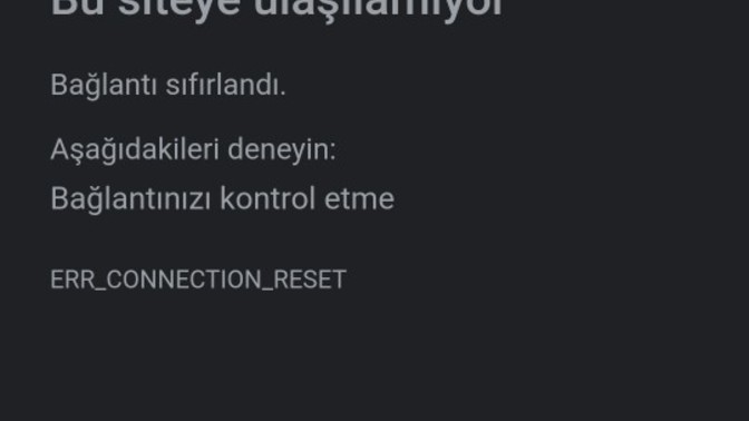 Dizipal giremiyorum neden?