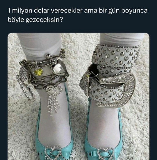 1 milyon dolar karşılığında bir gün boyunca böyle gezer miydiniz?