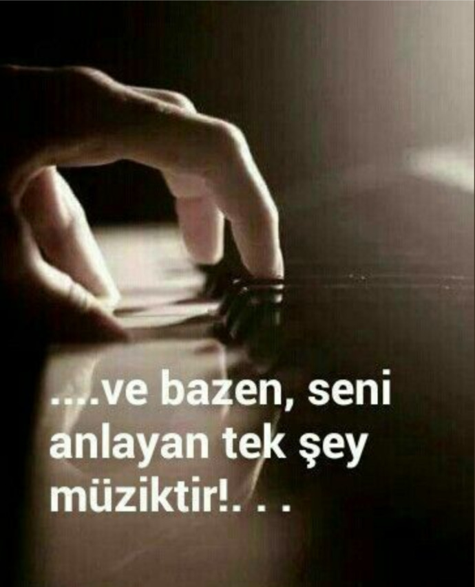 Seni anlayan tek şey nedir?