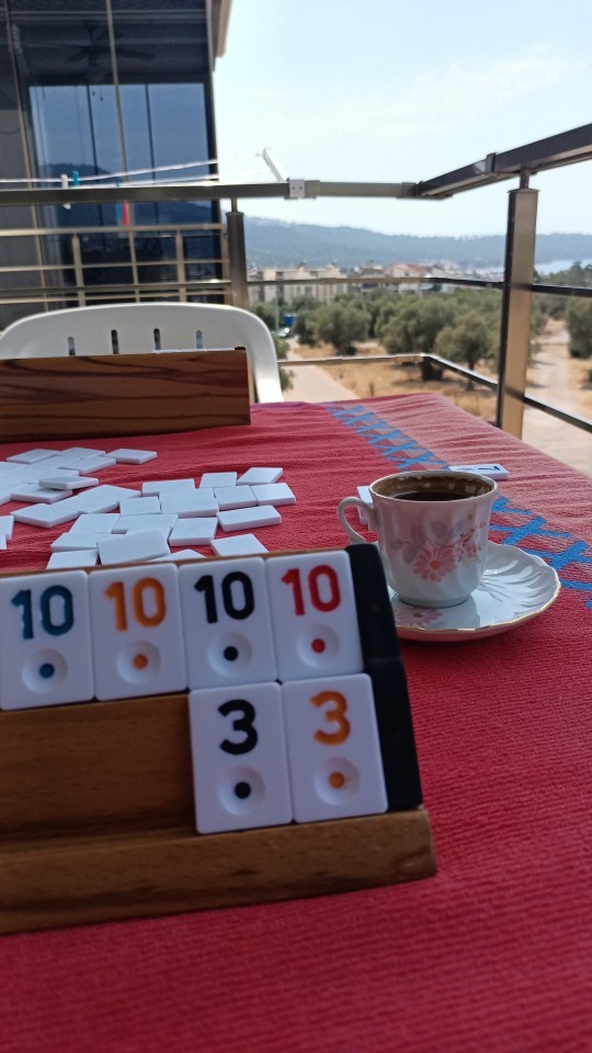 En sevdiğiniz masa oyunu hangisi?