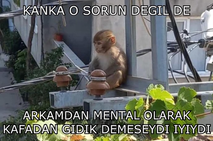 İyi geco napiyosunuz?
