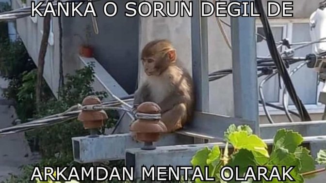 İyi geco napiyosunuz?