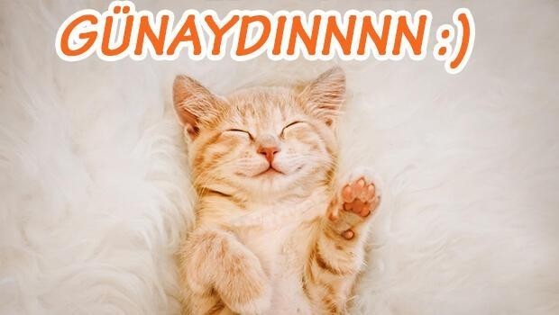 Günaydınlar erken uyananlar hangi ruh halinde siniz?