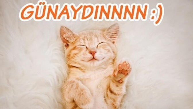 Günaydınlar erken uyananlar hangi ruh halinde siniz?