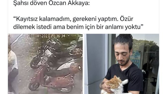 Hayvanlara zarar verenlere neden ceza vermiyorlar?