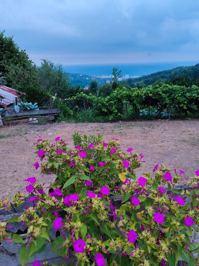 En son çektiğiniz foto nedir?