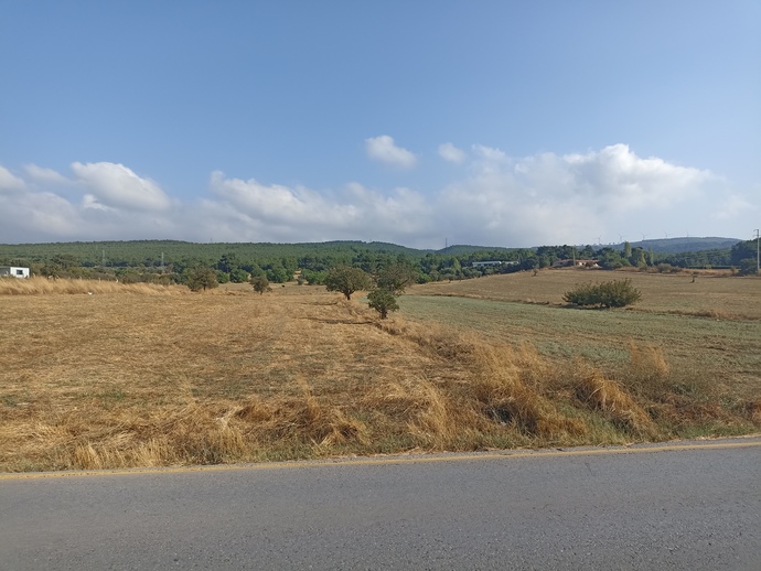 En son çektiğiniz foto nedir?