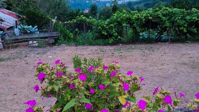 En son çektiğiniz foto nedir?