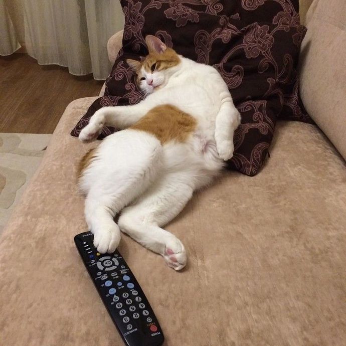 Nasıl geçiyor pazar günün?