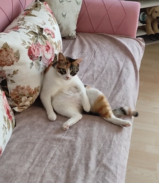 Nasıl geçiyor pazar günün?