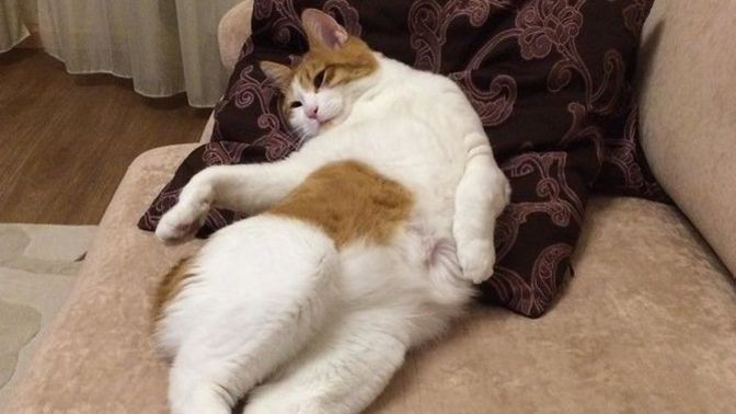 Nasıl geçiyor pazar günün?