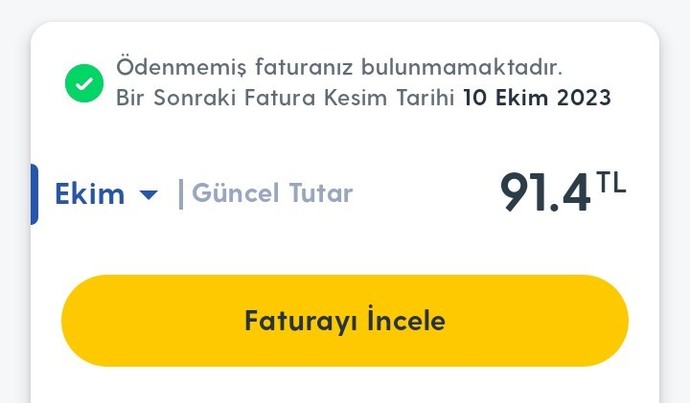 Aylık ne kadar fatura ödüyorsunuz?