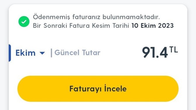 Aylık ne kadar fatura ödüyorsunuz?