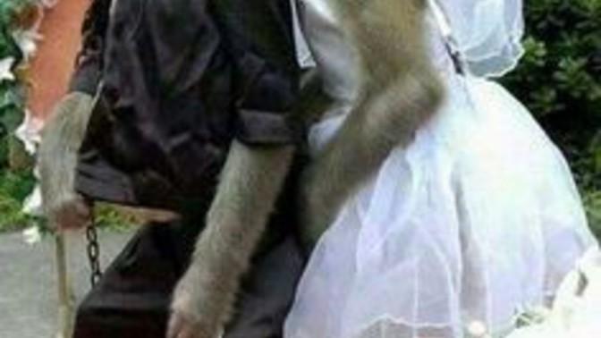 Düğünde kafası karışan damat var mı?