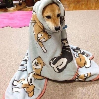 Ruh haliniz dinlediğiniz şarkıya göre mi değişir yoksa dinlediğiniz şarkı mı ruh halinize göre değişir?