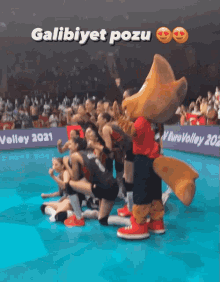 2023 CEV Avrupa Şampiyonası'nda Filenin Sultanları şampiyon oldu! Şampiyonlarımıza tebrik mesajınız ne?