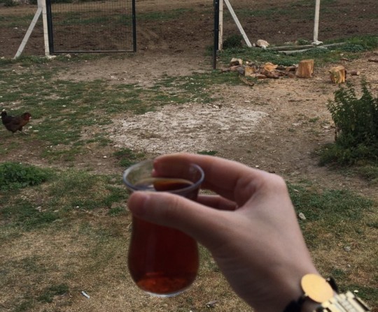 Günün kahvesi/çayı içildi mi?