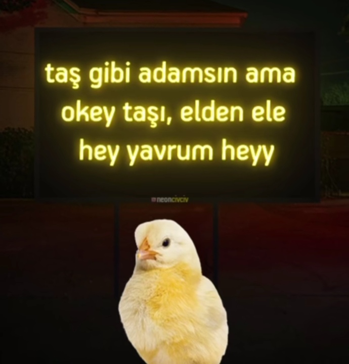 Taş gibi benzetmesi kadınlara mı daha çok yakışır, erkeklere mi😂?