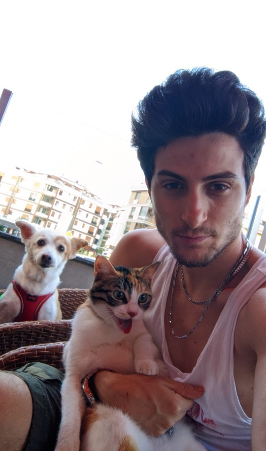 Kedi insanı mısın köpek mi?