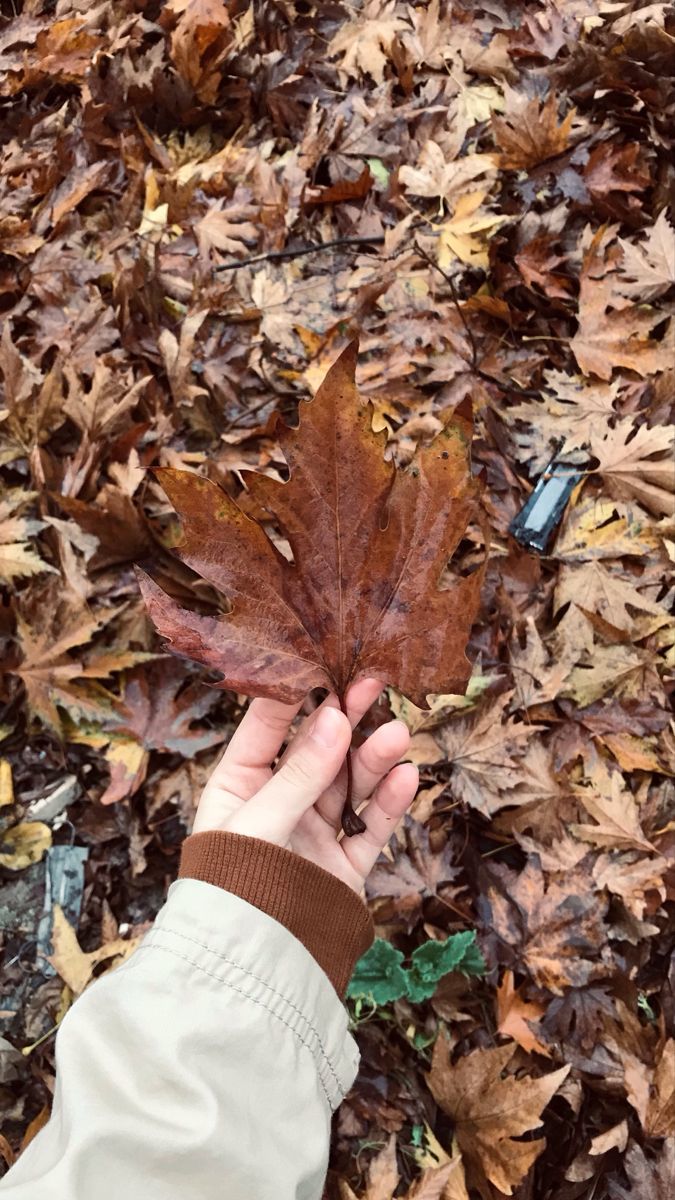Mevsimlerden sonbaharı severim. Sonra seni. Sonra yine seni. Ve hep seni.🍁