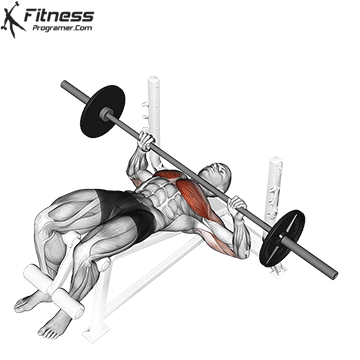 Günde 200 şınav 100 barfiks 100 Penç press 100 romanian deadlift yapmak yeterli mi?