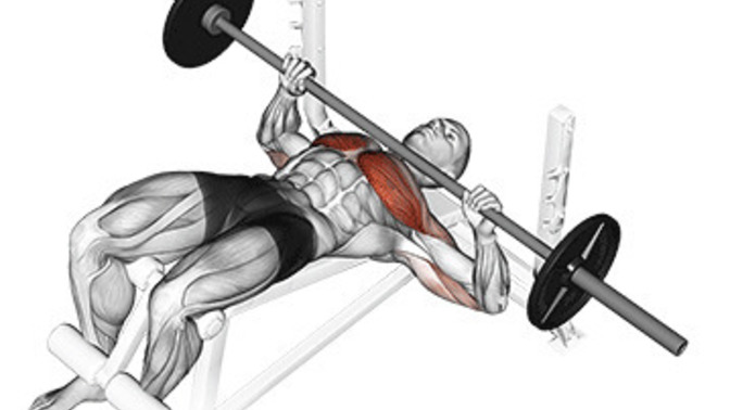 Günde 200 şınav 100 barfiks 100 Penç press 100 romanian deadlift yapmak yeterli mi?