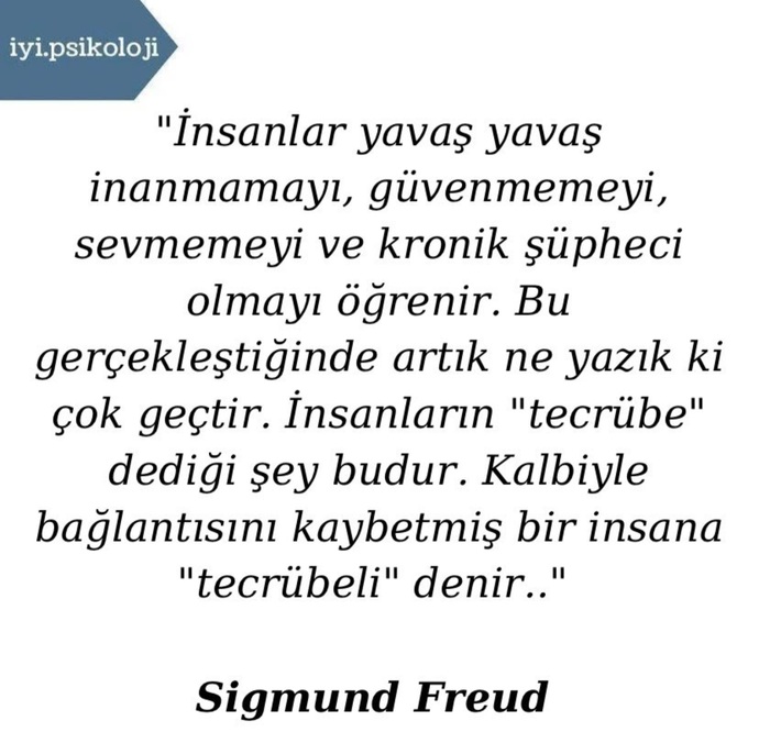 Siz tecrübeli birisi misiniz?