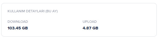 Aylık kaç gb internet harcıyorsunuz?