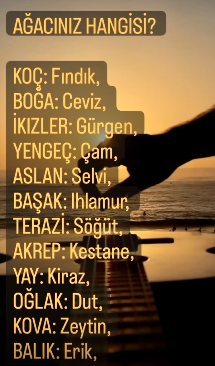 Burcuna göre senin ağacın hangisi?