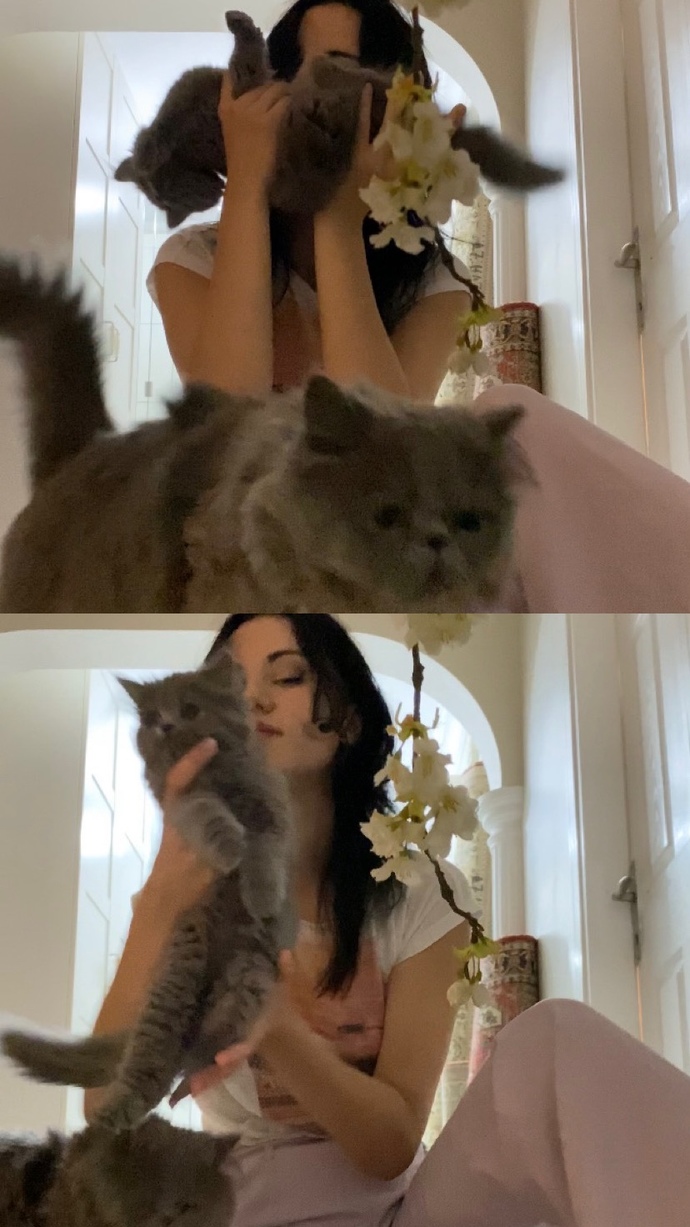 En çok değer verdiğiniz şey?