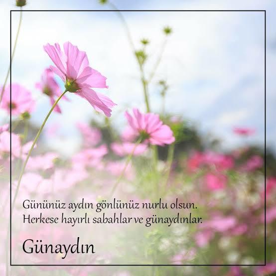 Seni mutlu edecek günaydın mesajı atan var mı?
