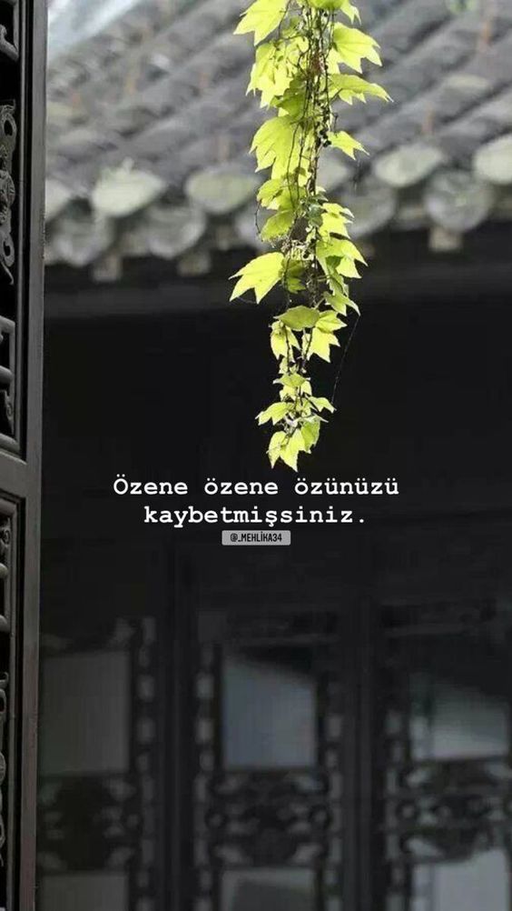 Özü kayıp insanlar