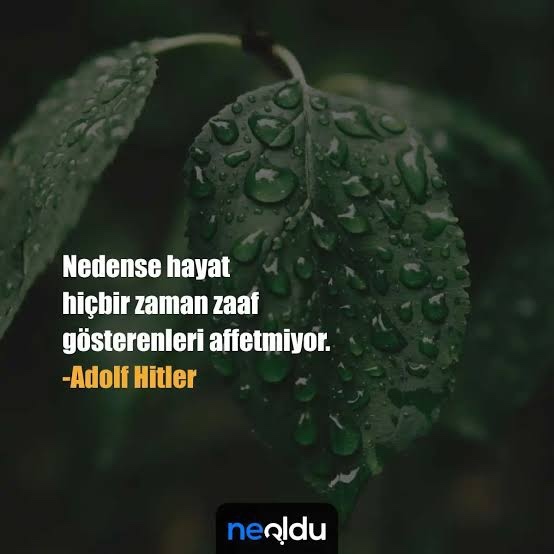 Zaaflarınız nelerdir?