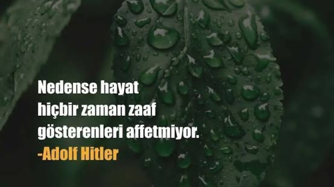 Zaaflarınız nelerdir?