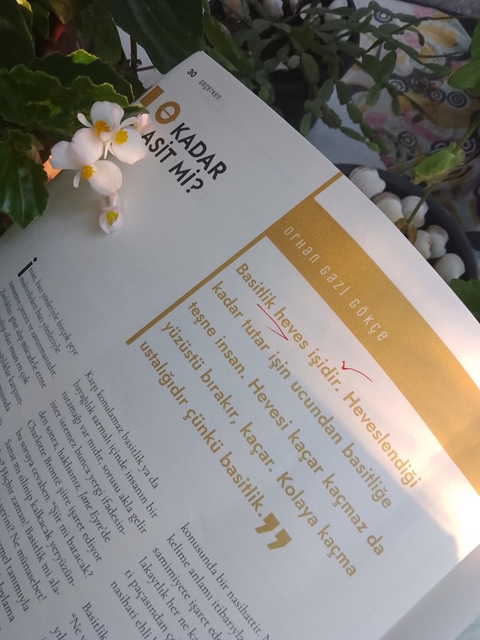 Ciddi bi yolda ilerlemek istediğiniz kişiyle yapacağınız görüşme esnasında ilk sorunuz ne olurdu ve olmazsa olmazınız nedir?