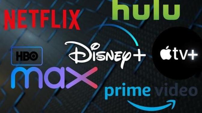 En çok hangi dizi/film platformunu kullanıyorsunuz?